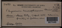 Image Associated With the Occurence